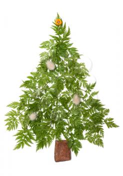 Royalty Free Photo of a Decorative Tree Made From Herbs