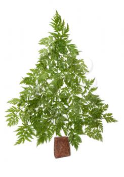 Royalty Free Photo of a Tree Made From Herbs