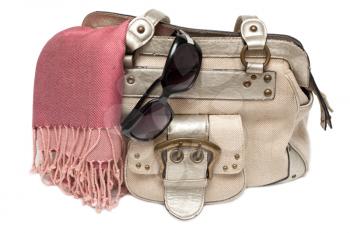 Royalty Free Photo of a Purse and Scarf
