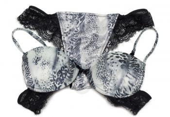 Royalty Free Photo of a Bra and Underwear