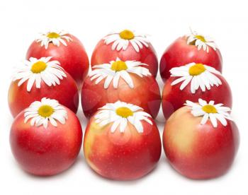 Royalty Free Photo of Daisies on Apples