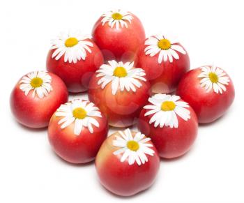 Royalty Free Photo of Apples and Flowers