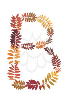 Royalty Free Photo of a Letter Made of Leaves