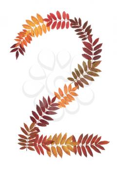 Royalty Free Photo of a Number Made From Leaves