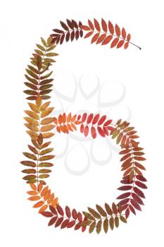 Royalty Free Photo of a Number Made From Leaves