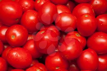 Royalty Free Photo of a Bunch of Tomatoes