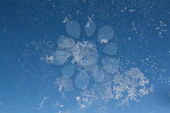 Royalty Free Photo of Snowflakes on Glass
