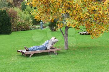 Royalty Free Photo of a Man Lounging in a Park