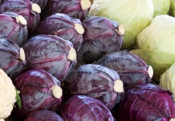 Royalty Free Photo of a Bunch of Cabbage