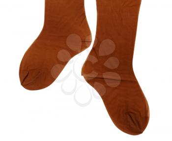 Royalty Free Photo of Brown Tights