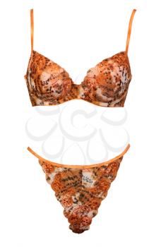 Royalty Free Photo of a Lingerie Set