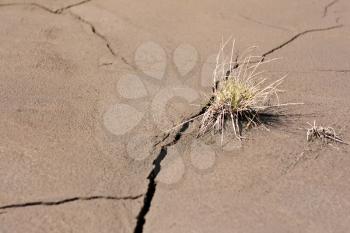 Royalty Free Photo of Cracked Dirt