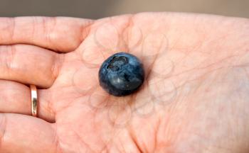 Royalty Free Photo of a Woman Holding a Blueberry