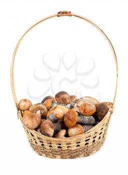 Royalty Free Photo of a Basket of Mushrooms