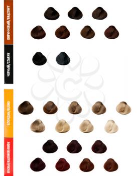 Royalty Free Photo of a Palette of Hair Samples