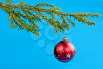 Royalty Free Photo of an Ornament on a Branch