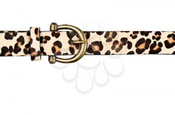 Royalty Free Photo of a Leopard Print Belt