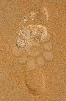 Royalty Free Photo of a Footprint in the Sand
