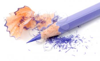 Color pencil with sharpening shavings on white background