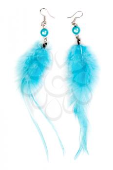 A pair of blue women's earrings made ​​of feathers. Isolate on white
