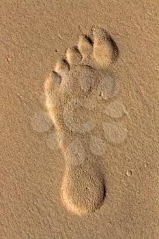 footprint on the sea-sand at sunset sunshine