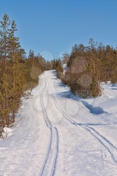 Freshly groomed empty cross-country ski track in woods