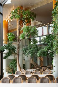 Foyer of a luxury hotel with pillars and greenery