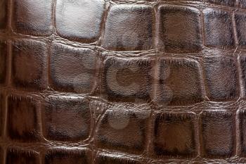Crocodile or alligator skins brown background