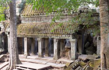 Angkor Wat temple complex with trees overgrowing the ruins in Cambodia.