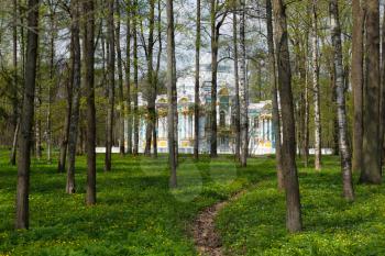 Pavilion in Catherine`s park in Tsarskoe Selo near Saint Petersburg, Russia through the woods
