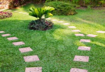 Garden path with grass growing up between the stones