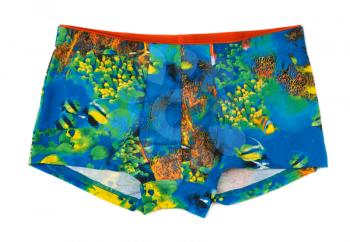 Men's boxer shorts with a colored pattern underwater world. Isolate on white.