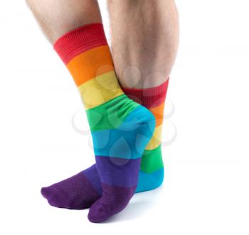 Mens hairy legs in colored striped socks fun. Isolate on white