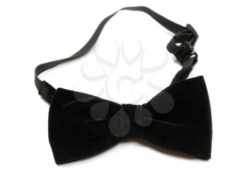 Black velvet bow tie isolated on white background