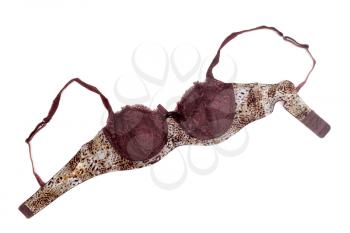 Brown bra with leopard pattern. Isolate on white.