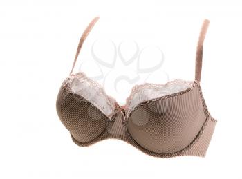 Brown lace bra in volume. Isolate on white.