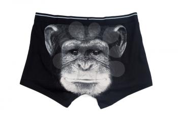 Black men's underwear with a print face of a monkey. Isolate on white.