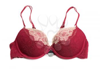 Red bra size 80B. Isolate on white.