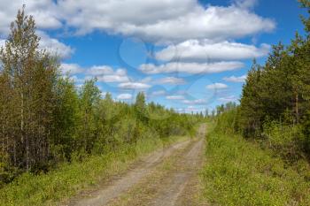 Dirt grassy forest road, clouds in the sky. Summer, northern Finland, Lapland.