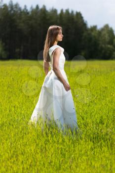Beautiful girl in a wedding dress in the field