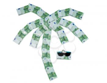 Palma built of 100 euro bills and sunglasses isolate on white