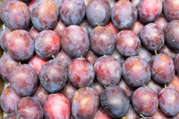 Background of fresh ripe plums arranged in neat rows