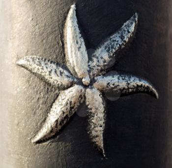 Pattern starfish on the iron pillar in the light of the sun. Close-up.