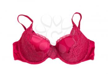 Red bra with lace. Isolate on white.