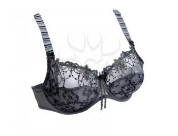 Grey lace bra. Isolate on white.