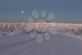 Snow-covered road in the Arctic. Russia, Murmansk region. Early morning, the moon in the sky and trees in the sunlight.