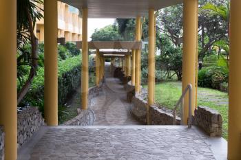 Corridor with columns in the rainforest.