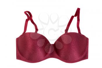 Crimson bra with pattern. Isolate on white.