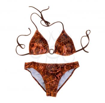 Brown swimsuit. Isolate on white background.