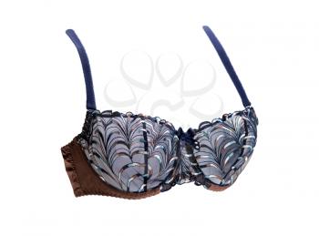 Brown and blue bra. Isolate on white.